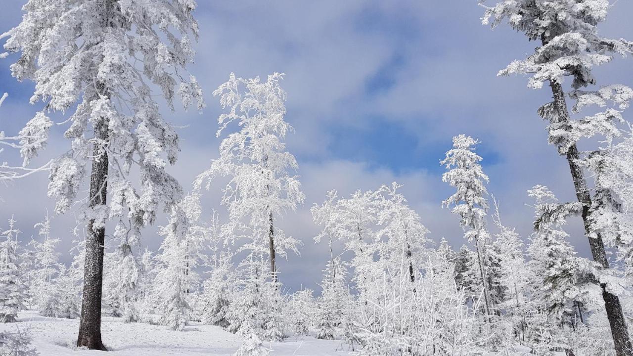Appartement Im Himmelreich Lam Exteriör bild